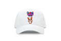 Funzi Stories — Puppy Snapback Cap